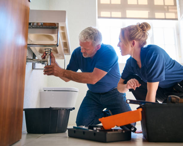 Best Septic Systems  in Richnd Heights, MO